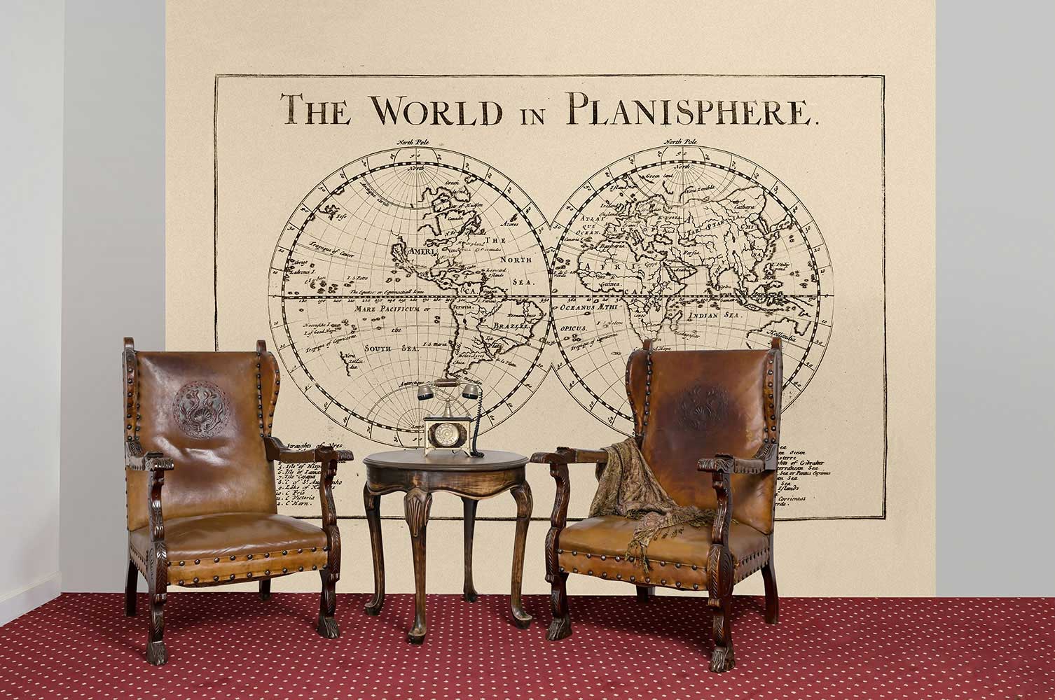 Fototapete kaufen online Weltkarte World in Planisphere WG