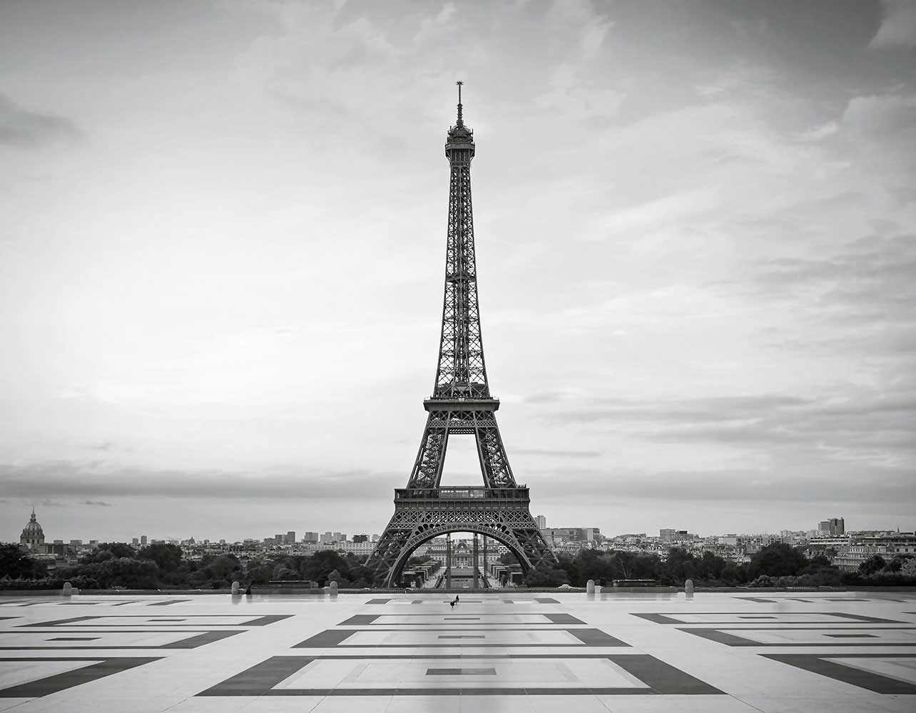 Fototapete kaufen online Eiffel Tower Eiffelturm schwarzweiß WG