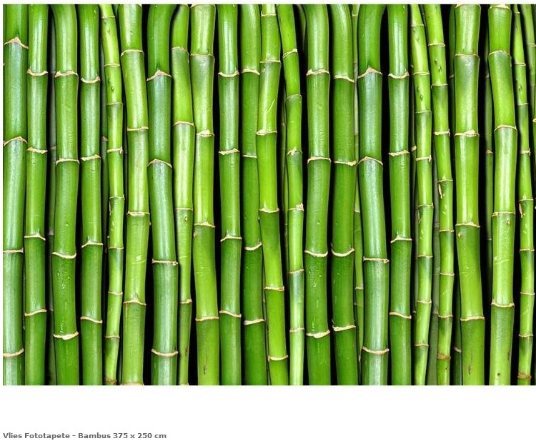Fototapeten Bambus aus Berlin online kaufen