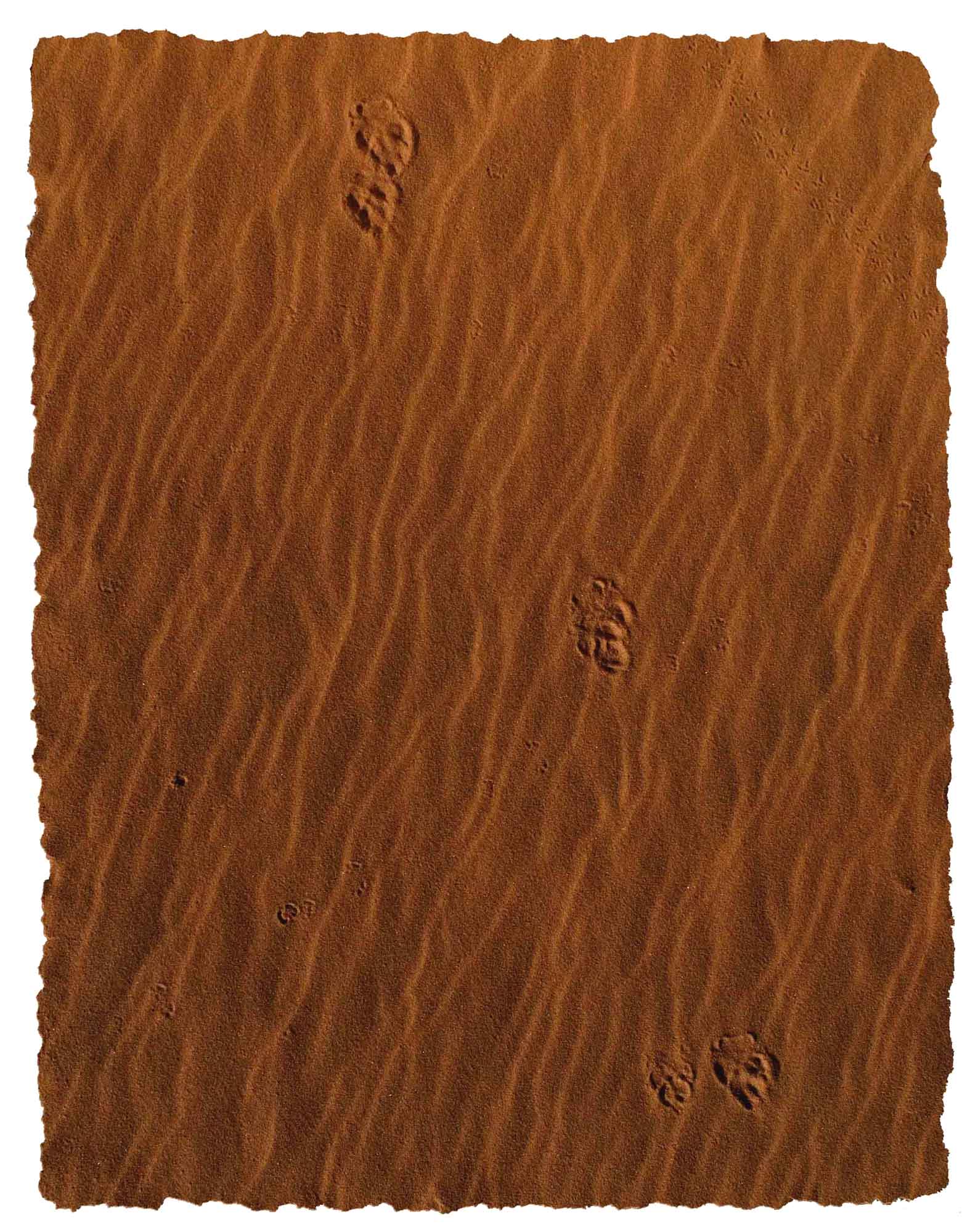 Sand 90x70cm Tapete online kaufen