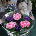 Bildergalerie Blumen